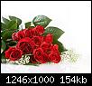     

:	rose12640x480.jpg‏
:	818
:	153.7 
:	992