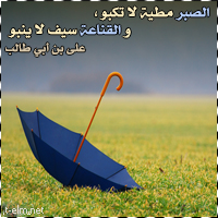 01360677081