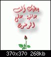     

:	4772_shatelarab_com.gif‏
:	848
:	268.4 
:	11671